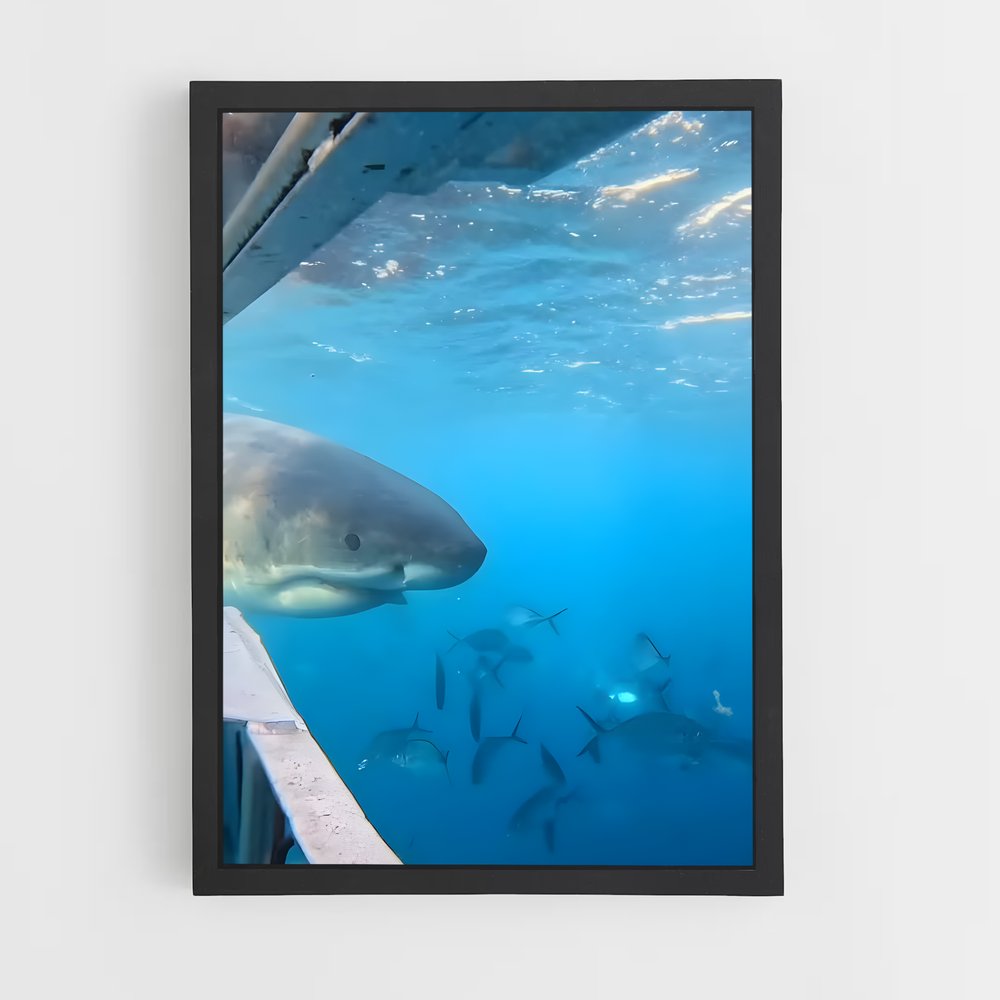 Poster Rencontres Maritimes – affiche Plongée sous-marine (vue 2)